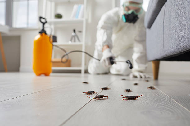 Commercial Kitchen Cockroach Control in Boley